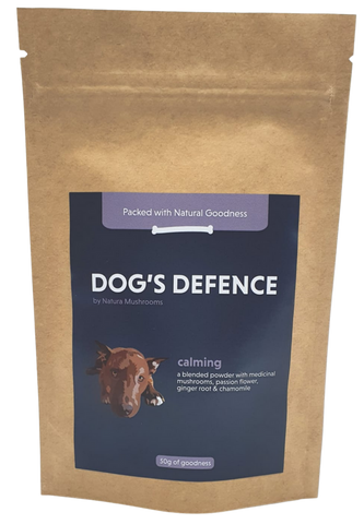 Anxiety and calming for dogs