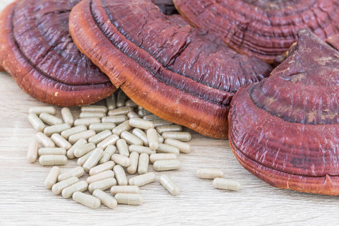 Reishi mushroom on a white table, next to white coloured capsules made out of the mushroom