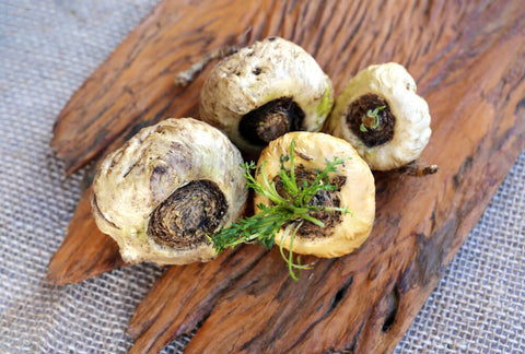 Maca root on a piece of bark